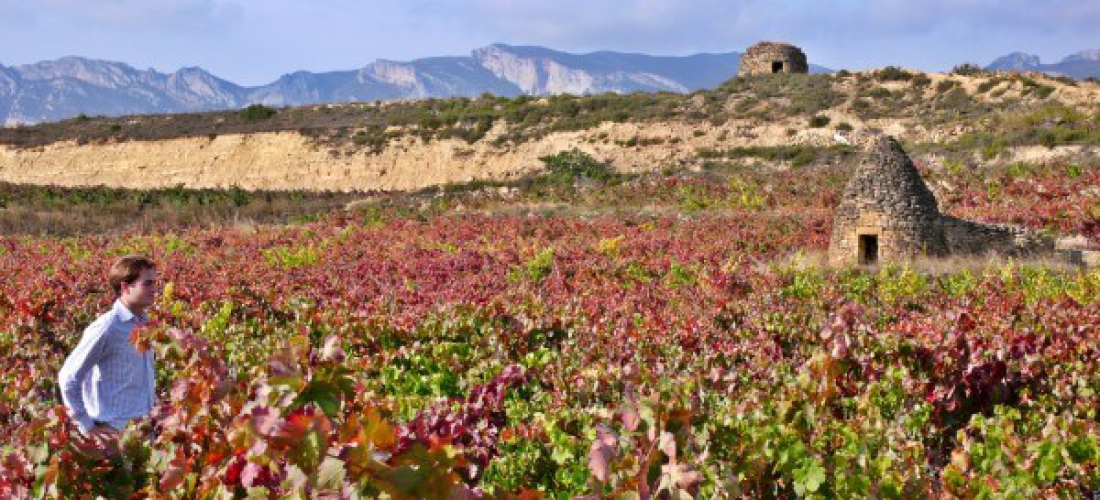 Senderos del Vino