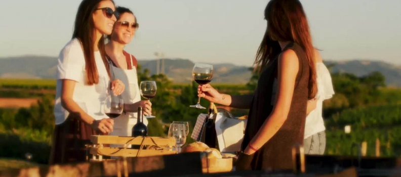 L’ÉTÉ À LA RIOJA