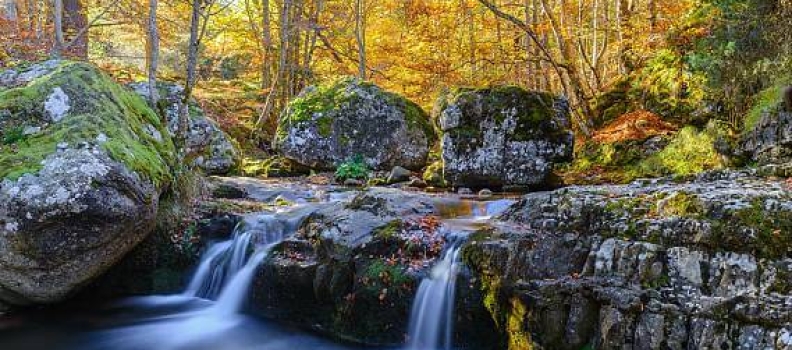 BEZOEK AAN SIERRA DE CEBOLLERA